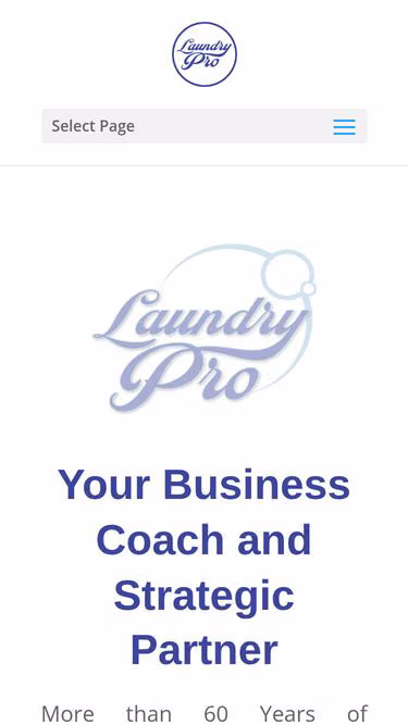 Screenshot of laundrypro.net