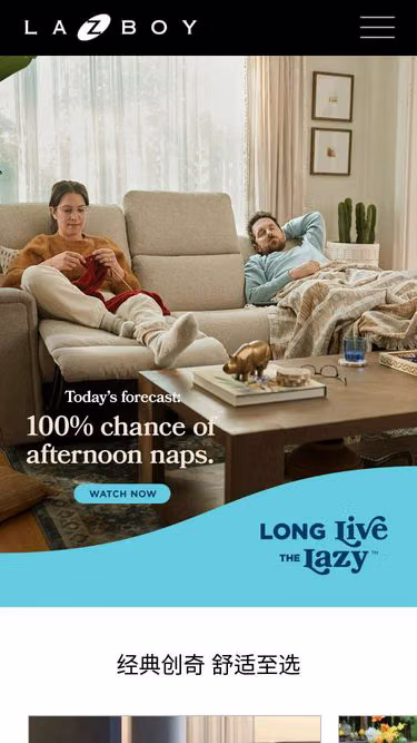 Screenshot of lazyboy.cn