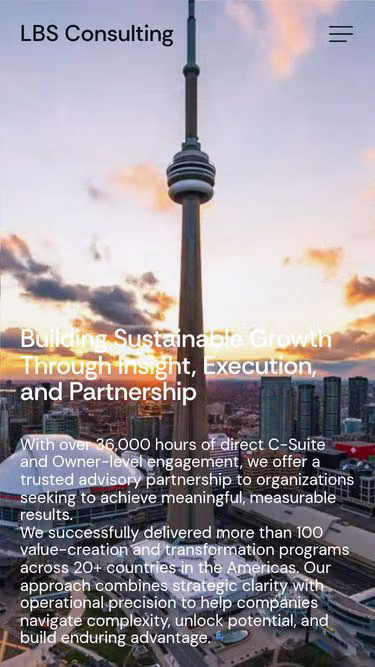 Screenshot of lbsc.consulting