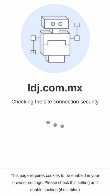 Screenshot of ldj.com.mx
