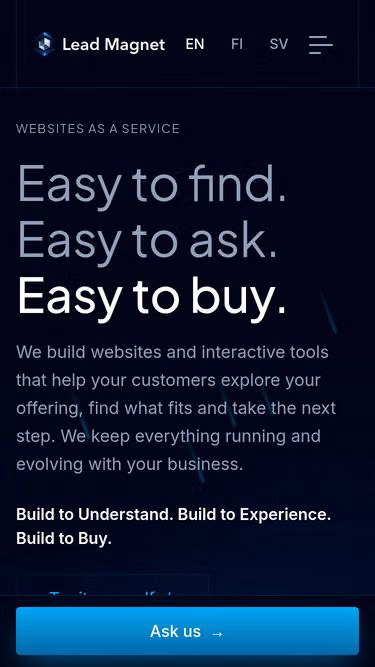 Screenshot of leadmagnet.fi