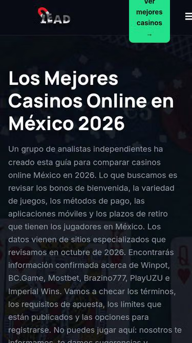 Screenshot of leadmagnet.mx