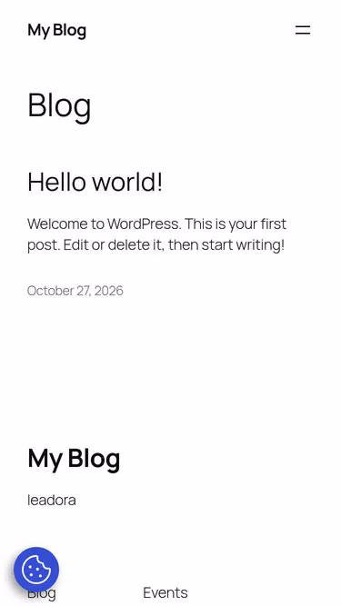 Screenshot of leadora.co.za