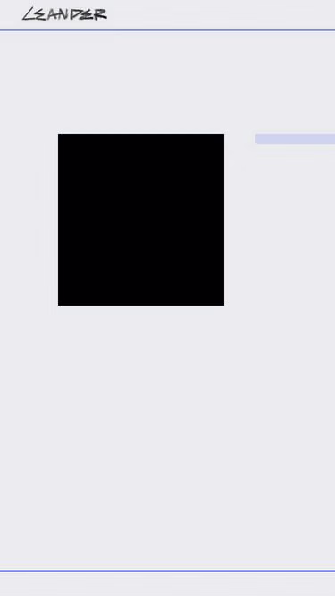 Screenshot of leander.com.pl
