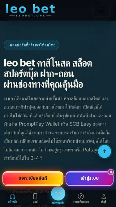 Screenshot of leobet.onl