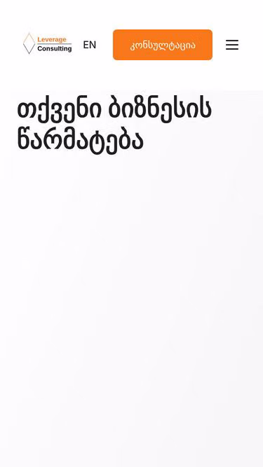 Screenshot of levco.ge