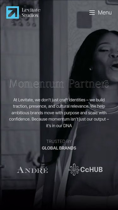 Screenshot of levitate.ng