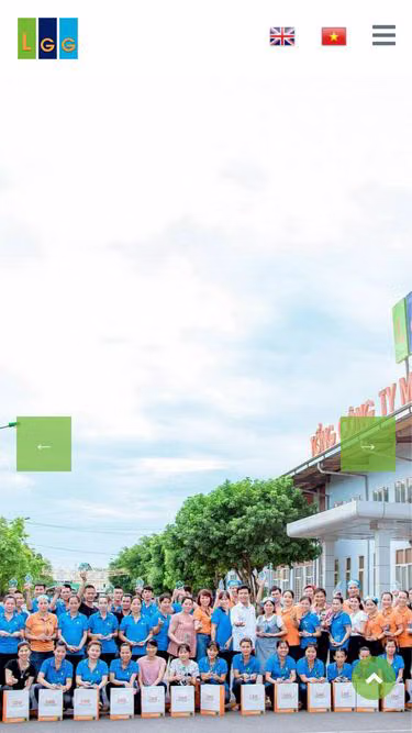 Screenshot of lgg.vn