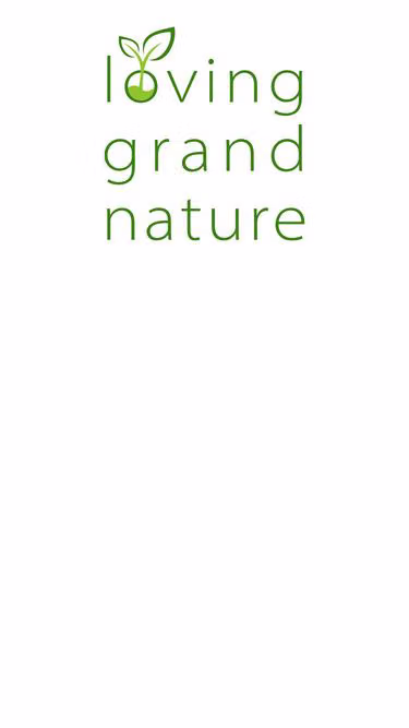 Screenshot of lgn.gmbh