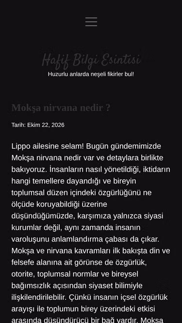 Screenshot of lippo.com.tr
