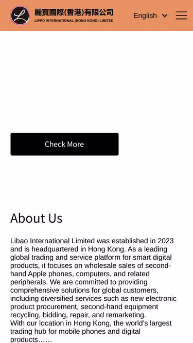 Screenshot of lippo.hk