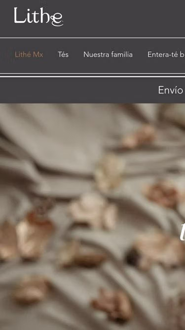 Screenshot of lithe.mx