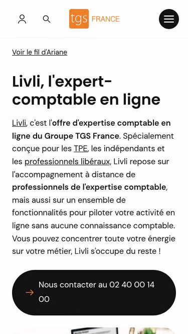 Screenshot of livli.fr