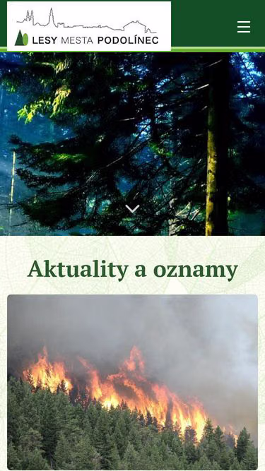 Screenshot of lmp.sk
