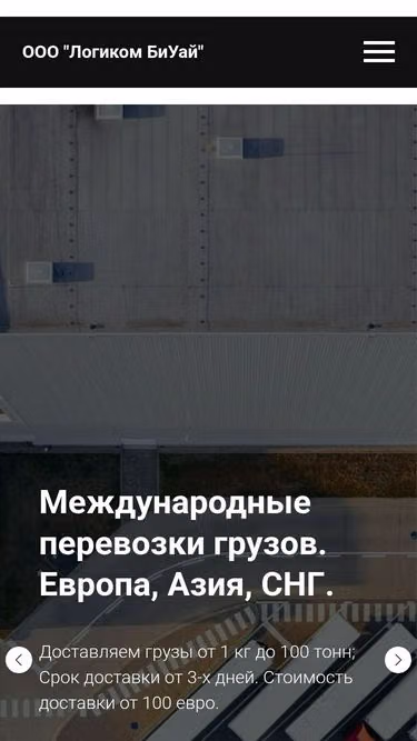 Screenshot of logicom.by