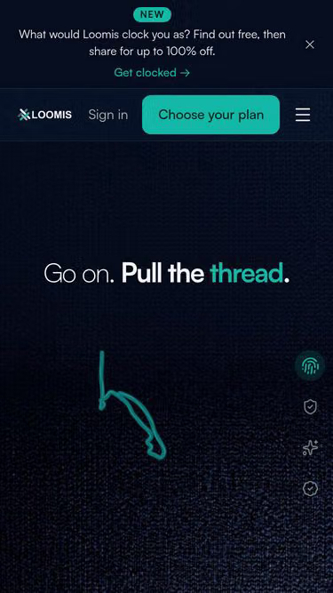 Screenshot of loomis.co.za
