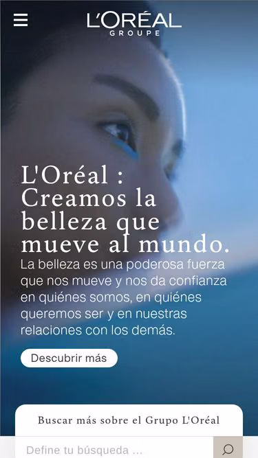 Screenshot of loreal.pe