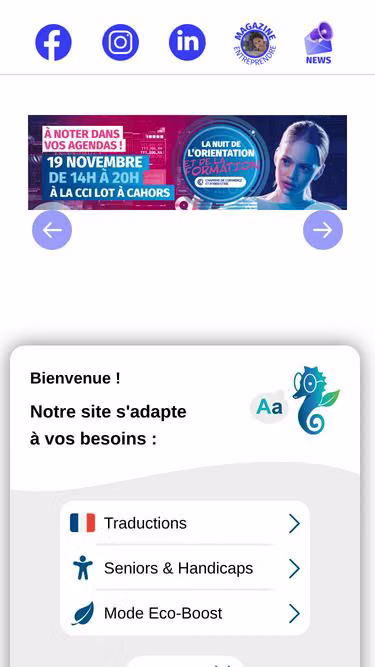 Screenshot of lot.cci.fr
