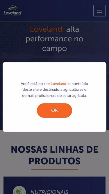 Screenshot of loveland.com.br