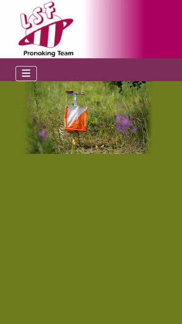 Screenshot of lsf.ee