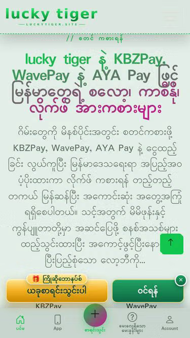 Screenshot of luckytiger.site