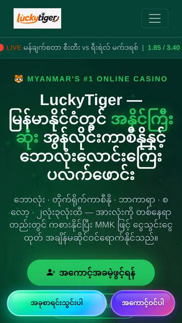 Screenshot of luckytiger.ws