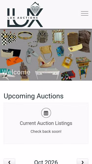 Screenshot of lux.bid