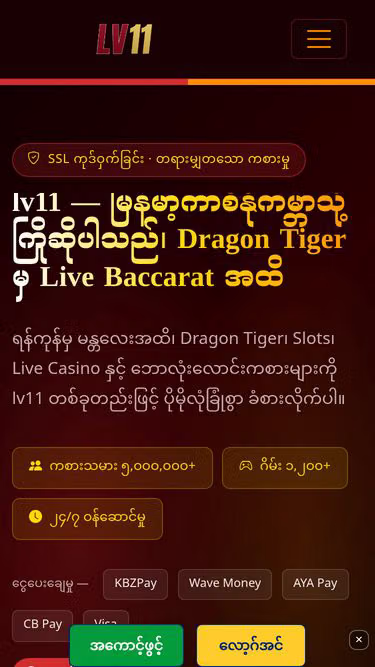 Screenshot of lv11.lat