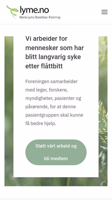 Screenshot of lyme.no