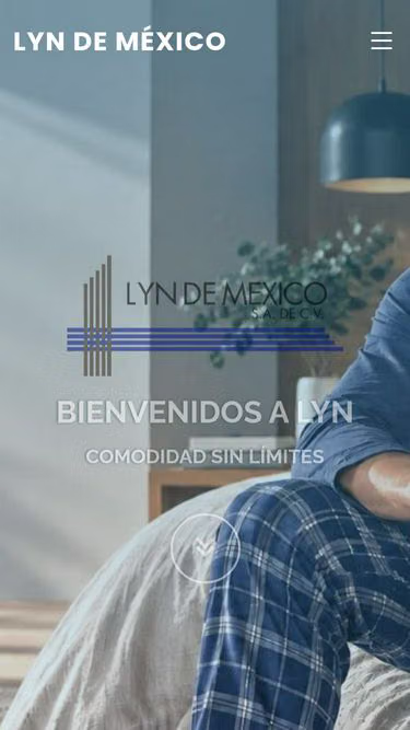 Screenshot of lyn.mx