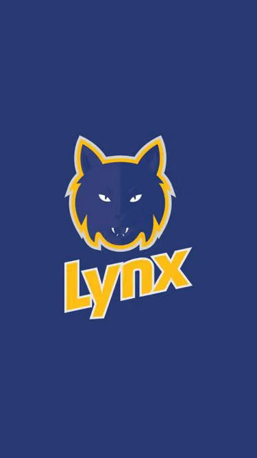 Screenshot of lynx.lt