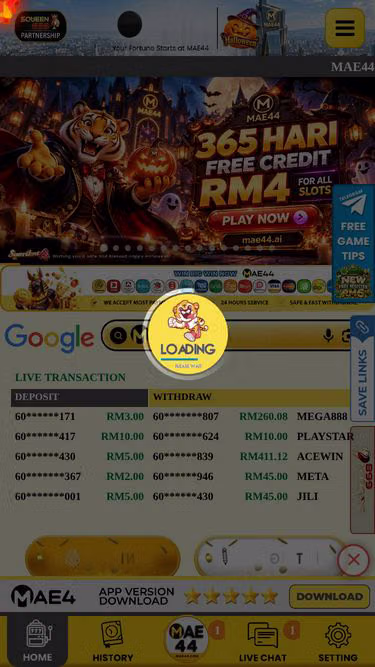 Screenshot of mae44.ai