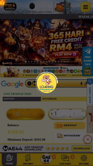 Screenshot of mae44.fyi