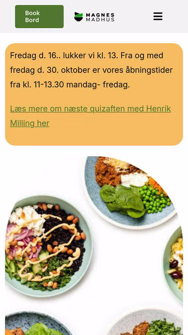 Screenshot of magnes.dk