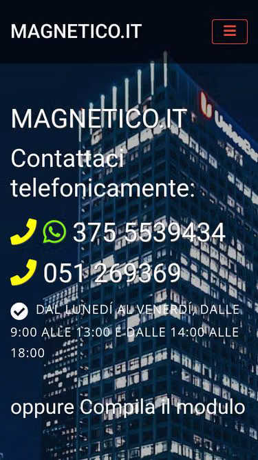Screenshot of magnetico.it