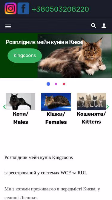 Screenshot of mainecoon.biz