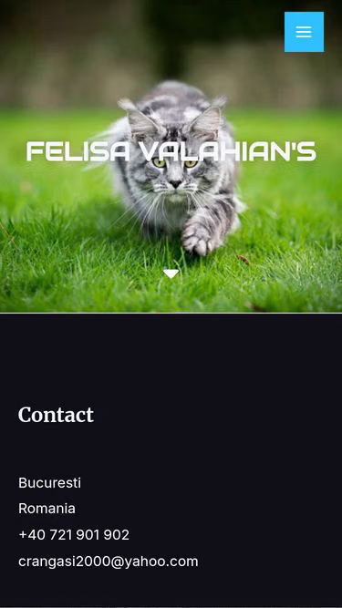 Screenshot of mainecoon.com.ro