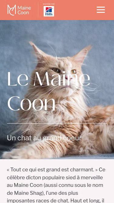 Screenshot of mainecoon.fr