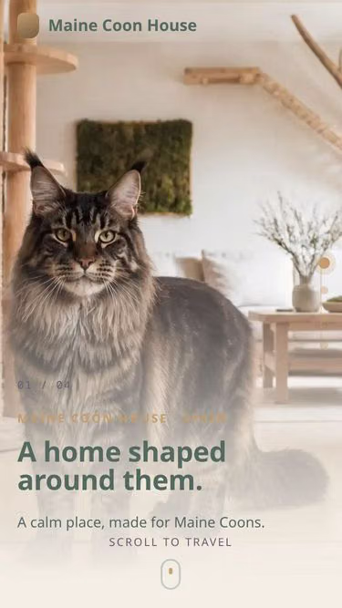 Screenshot of mainecoon.house
