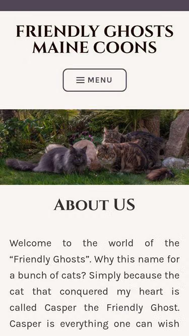 Screenshot of mainecoon.ie