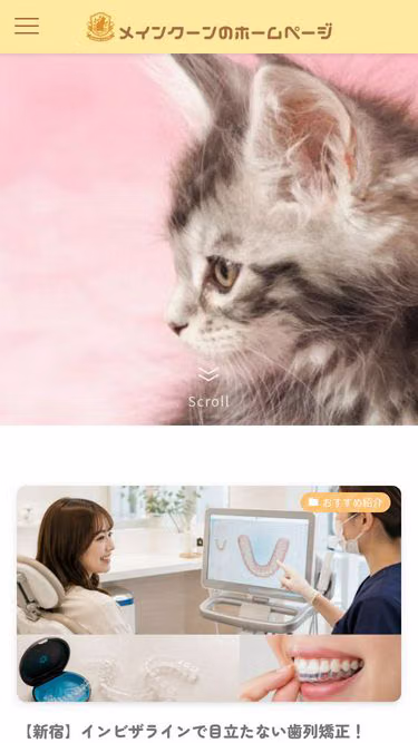 Screenshot of mainecoon.jp