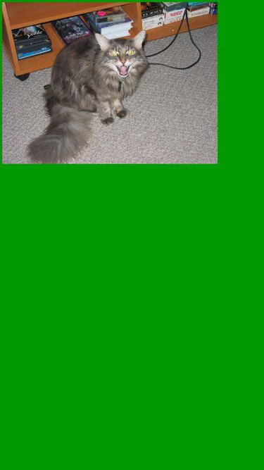 Screenshot of mainecoon.net