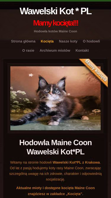 Screenshot of mainecoon.net.pl