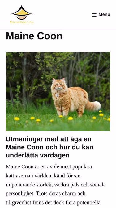 Screenshot of mainecoon.nu