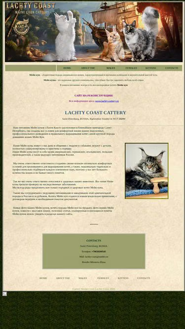 Screenshot of mainecoon.pro