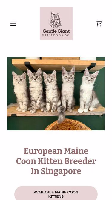 Screenshot of mainecoon.sg