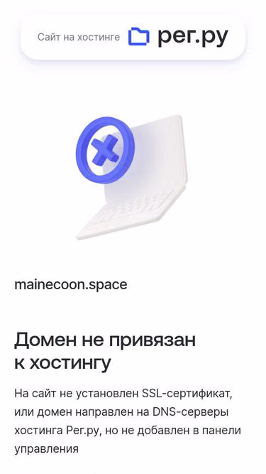 Screenshot of mainecoon.space