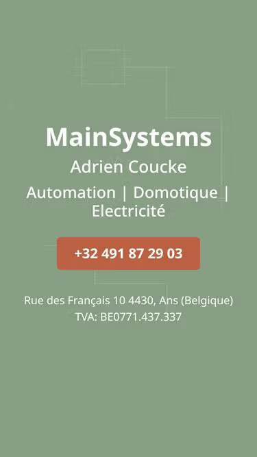 Screenshot of mainsystems.be