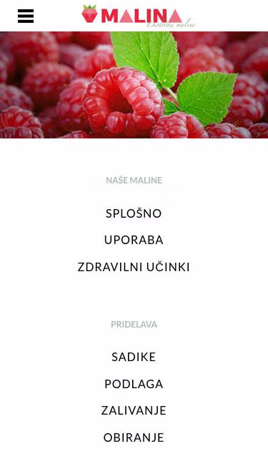 Screenshot of malina.si