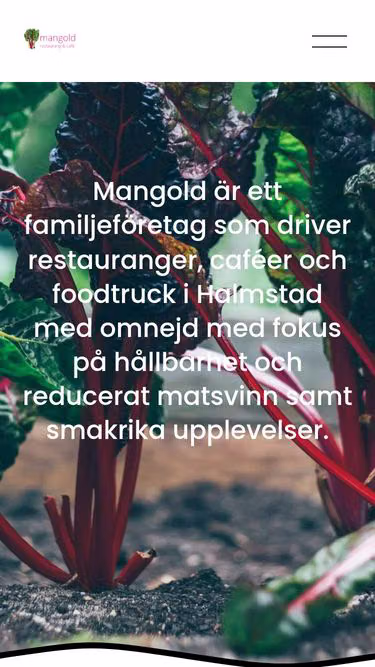 Screenshot of mangold.nu